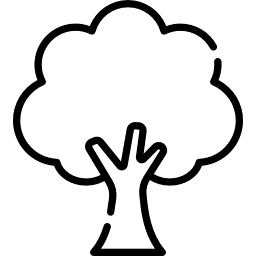 Tree 502854