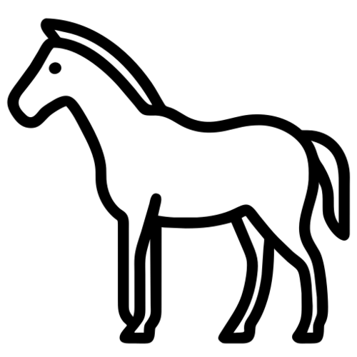 Animal 15000812